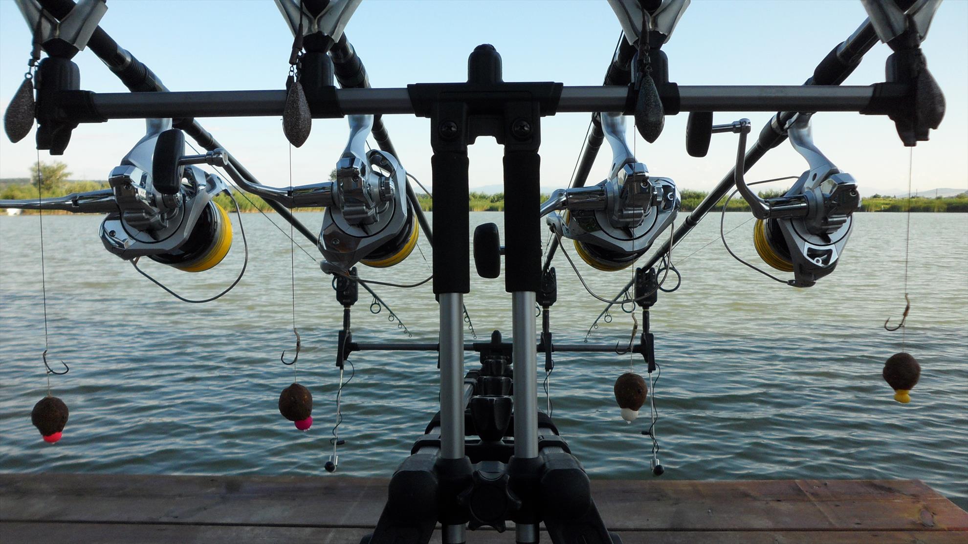 Pleasa1 23 iunie 2014 - sam3199.JPG